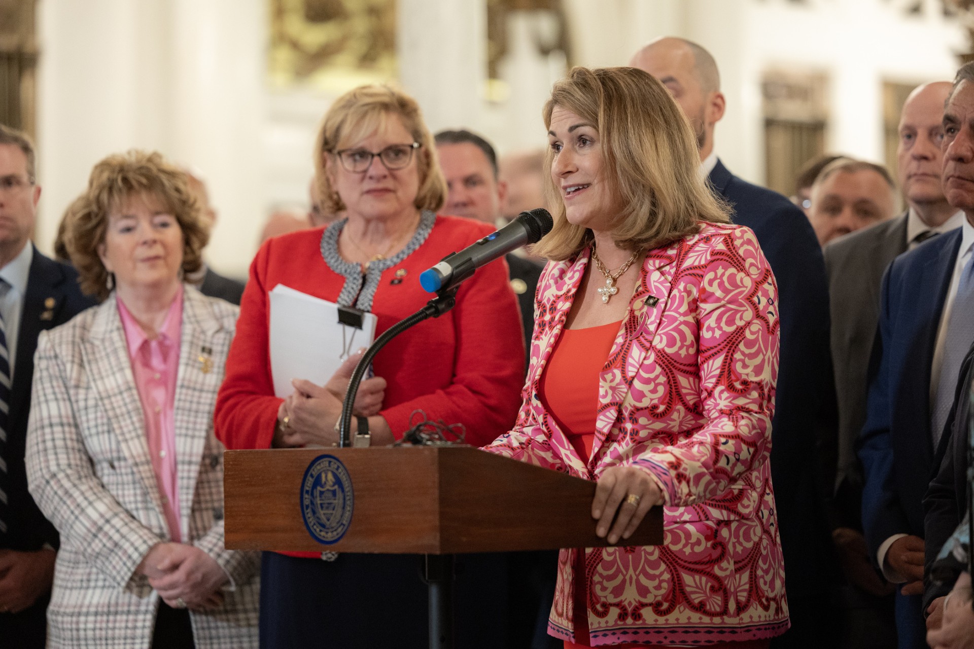 Sen. Brown standing at a podium with Sen. Pennycuick, Sen. Brooks, Sen Gebhard and others behind her as she speaks.
