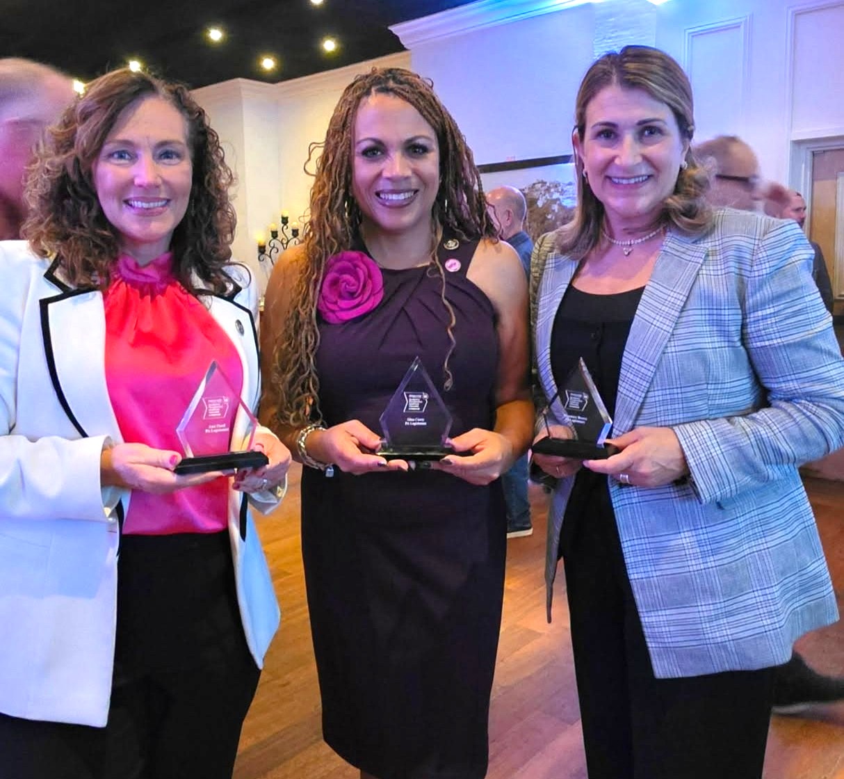 Sen. Rosemary Brown is awarded a 2026 Trailblazer in Healthcare award, along with Rep. Ann Flood and Rep. Gina Curry.
