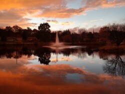 This week ✨ Scenes from the 40th District ✨ is captured by Jeff of Stroudsburg of the beautiful Duck Pond at Stroud Township Municipal Building.