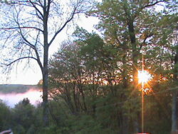 Marsha in Canadensis