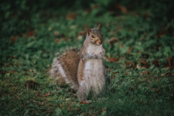 Regina of Tobyhanna, with another beautiful picture of the 40th District's nature!