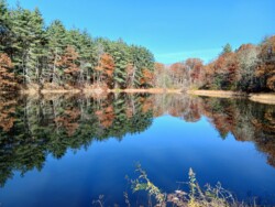 John of East Stroudsburg - Ice Lake in Cresco