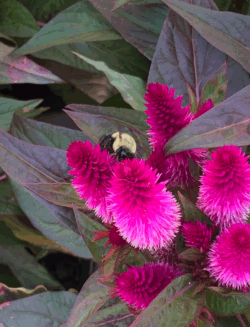 MJ of Marshalls Creek and Steve of Stroudsburg