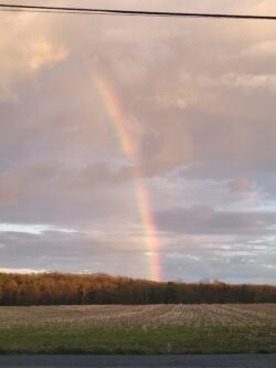 This week’s photo is courtesy of Shelli of Saylorsburg, of this beautiful evening rainbow! A rainbow shines through the dark clouds, casts itself over a barren field.